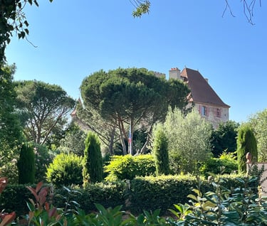 Chateau de la Salvetat-Saint-Gilles, près de Toulouse