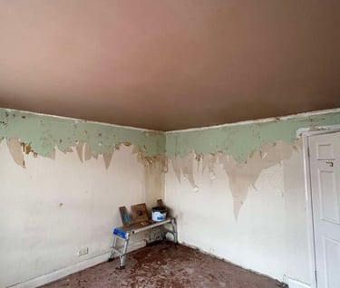 plastered ceiling by franklins plastering worcester