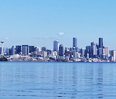 city skyline across the water