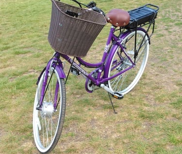 Dutch Elevtric Bike Convertion 