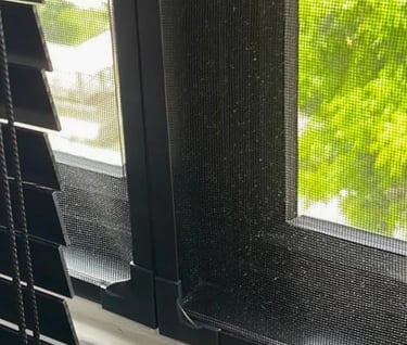 window with mosquito net installed