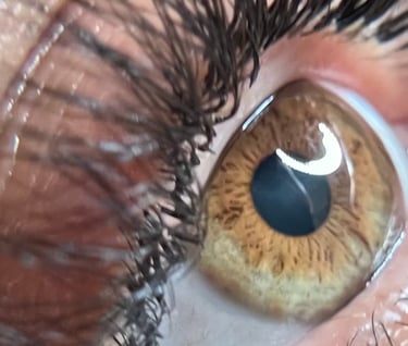 Lashes in Elig Beauty Salon by Daylin.