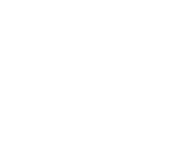 D5 Render