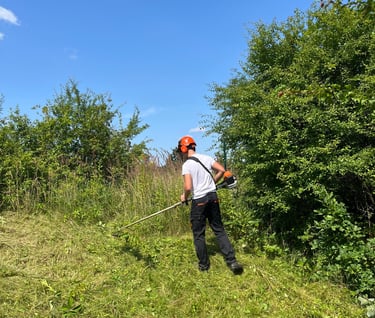 apleistu sklypų tvarkymo darbai