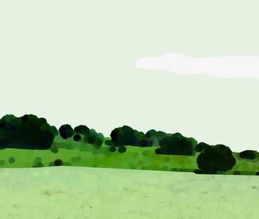 a cowgirl is standing in a field