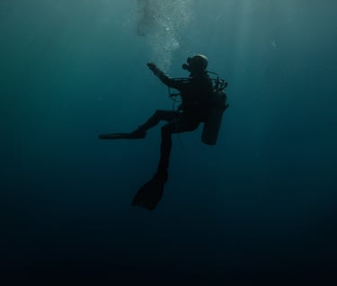 a person in a wetsuit is swimming in the water