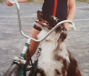 Image of girl on bike with a dog.