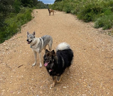 Team ClipsOPoil en balade dans le 06