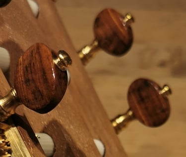 guitar head, sheller tuners
