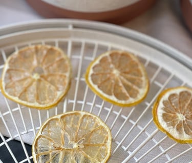 dehydrated lemons on drying tray in front of potted plants