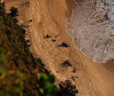 a person walking along a beach with a surfboard