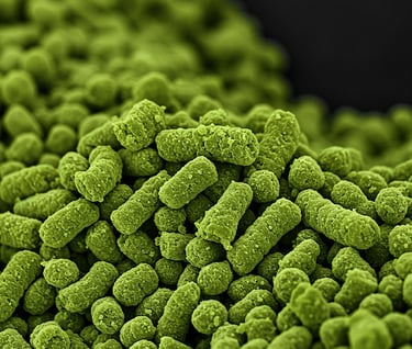 Microparticulated Potato Protein Illustration