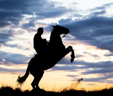 Silhouette of a cowboy riding a rearing horse against a dramatic sunset sky with clouds.