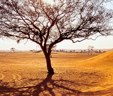 Foto van de woestijn in Abu Dhabi