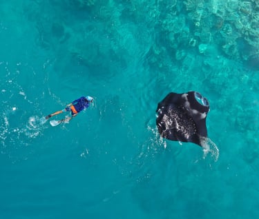 Aerial view of a person snorkeling next to a large manta ray in clear turquoise ocean water.