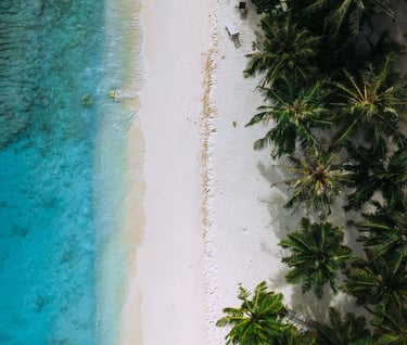 Aerial view of a tropical white sand beach with turquoise water and lush green palm trees.