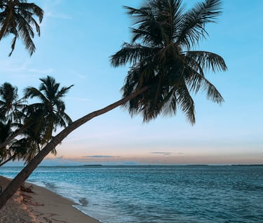 Tropical beach at sunset with leaning coconut palm trees over white sand and turquoise ocean waves.