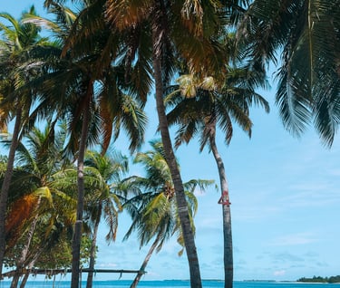 the best beaches in the maldives