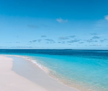 sand bank trips and tours can be organised in the hotel