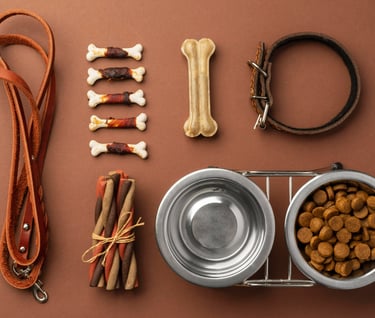 general dog supplies, leash, collar, treats, dog bowls, dog toys