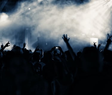 a crowd of people standing in front of a stage