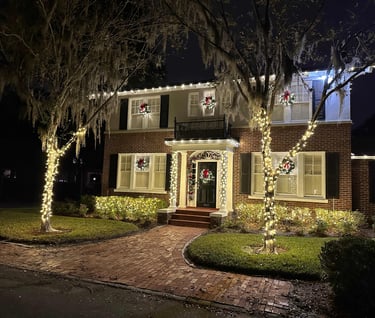 Christmas Lights in Avondale