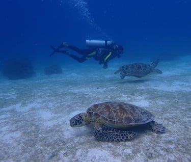 Bautismos de buceo
