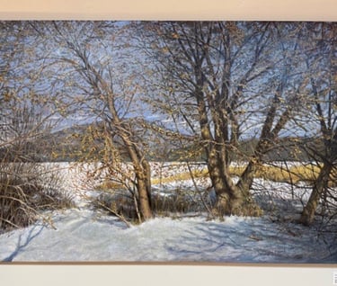  Open Show  February 1 - 28th