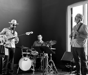 jazzwrx trio live at Namaste Winery