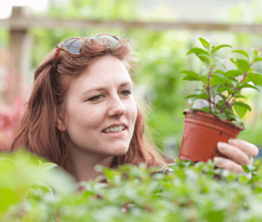 Choosing Your Perennial Vegetables