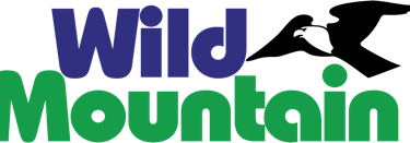 Wild Mountain