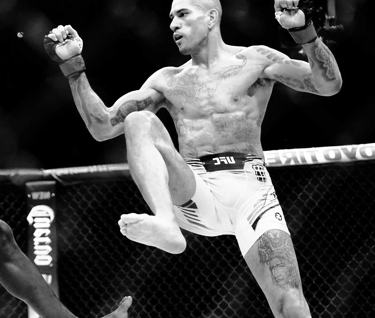 zawodnik mma