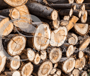 une pile de bûches empilées les unes sur les autres
