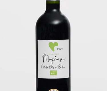 monplaisir castillon