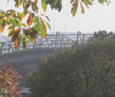 Murrayfield Stadium