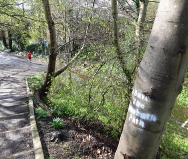 Roseburn path