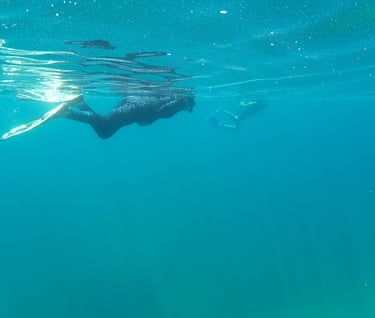 snorkeling thunder bay michigan shipwreck