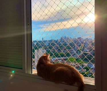 a cat sitting on a window sill with a view of a city
