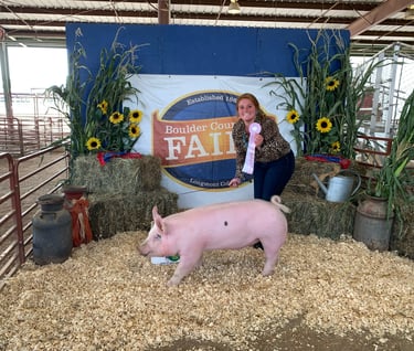 Meredith Halweg - Reserve Grand Champion Showmanship, Boulder County Fair, 2021