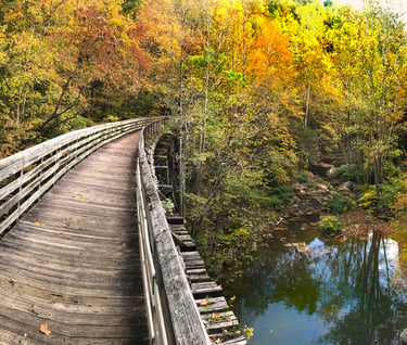 Trestle walkway at Hawks Nest, WV