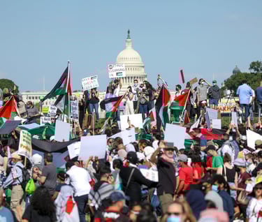 a group of protesters with Palestinian flags and signs stand in front of the Capitol building in D.C