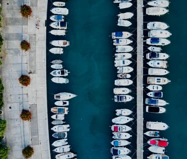 marina full of boats