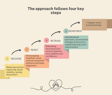 canine functional fitness