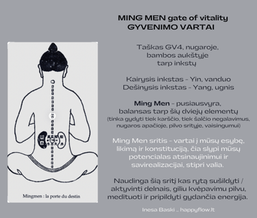 ming men gyvenimo vartai