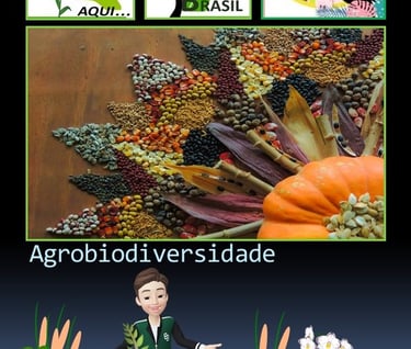 Agrobiodiversidade