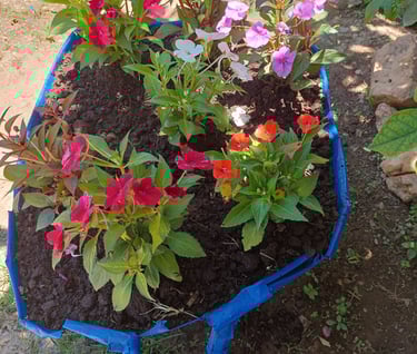 Jardins