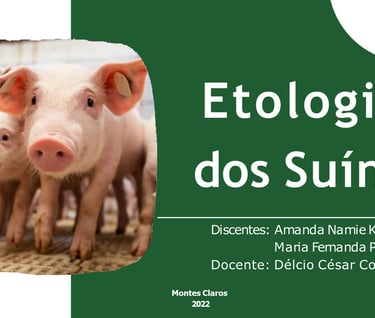 Etologia dos Suínos