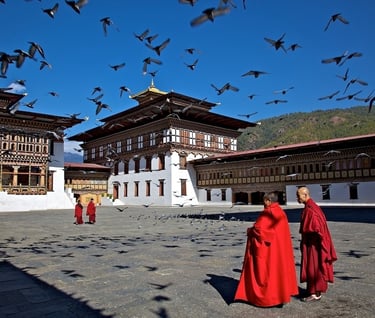 monks_in_the_courtyard_of_tashichho_dzong_feeding_the_birds