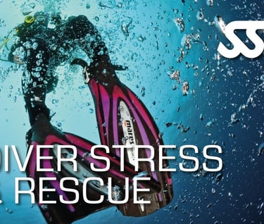 SSI Diver Stress & Rescue