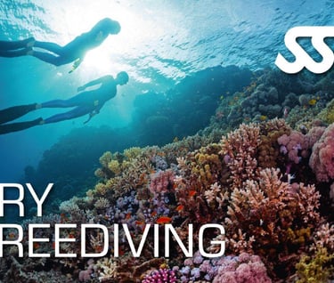 SSI Try Freediving